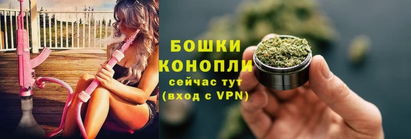 ECSTASY Пересвет