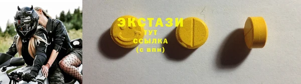 ECSTASY Пересвет