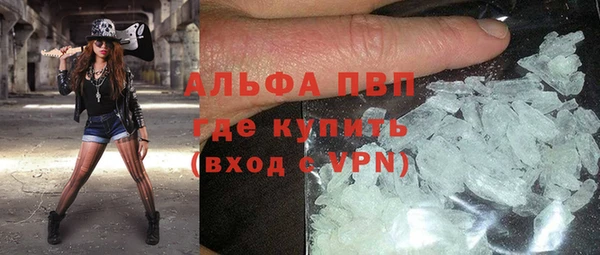 ECSTASY Пересвет