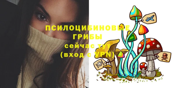 ECSTASY Пересвет