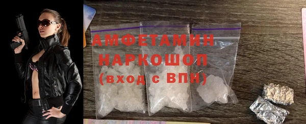 ECSTASY Пересвет