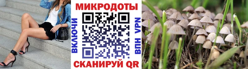 Псилоцибиновые грибы мицелий  Купить закладки  Задонск 
